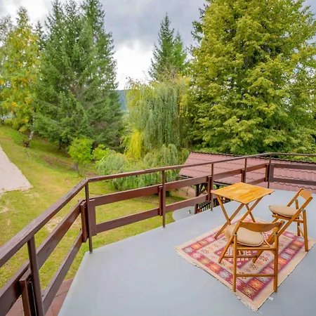 Borovac Mountain Escape Pale